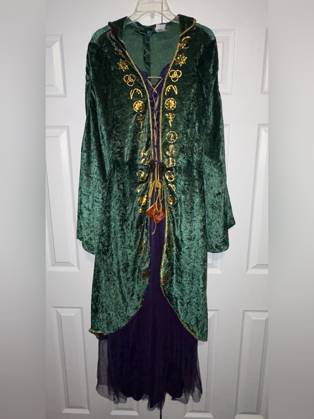 Spirit Halloween Disney Hocus Pocus Adult Women Costume Dress Robe 1X Green